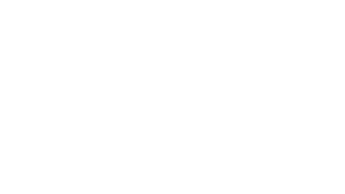 fredericks foundation