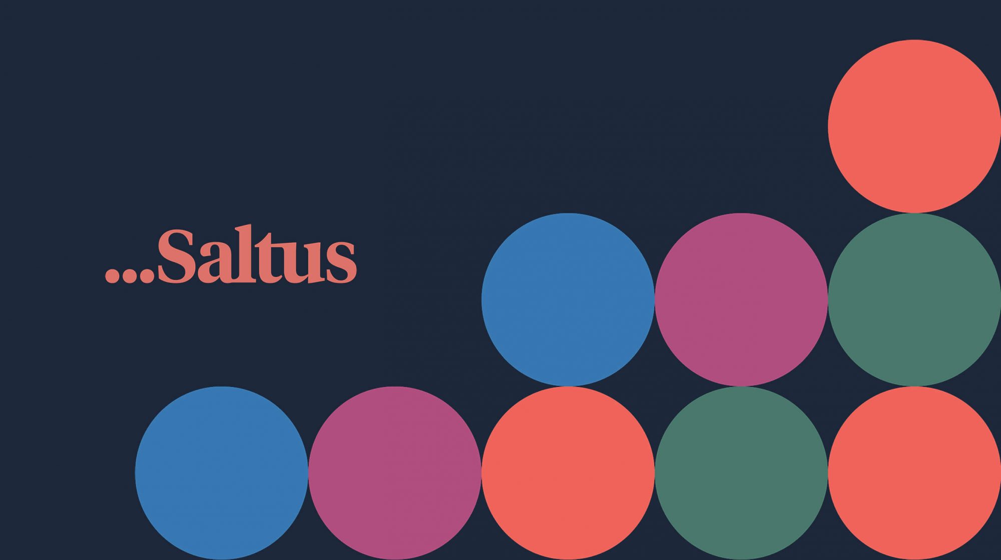 Boldspace-corporate-pr-strategic-communications-reputation-press-office-media-relations-saltus