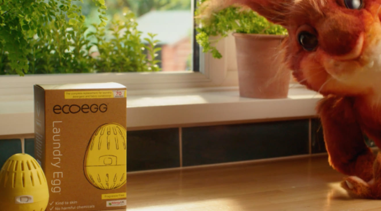 Boldspace-creative-brand-advertising-production-content-creation-social-digital-post-ecoegg-campaign-advert-product