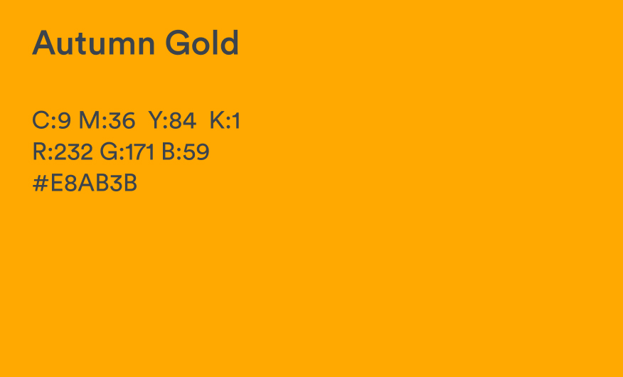 Boldspace-branding-brand-strategy-messaging-identity-design-startwell-brand-colour-palette-gold