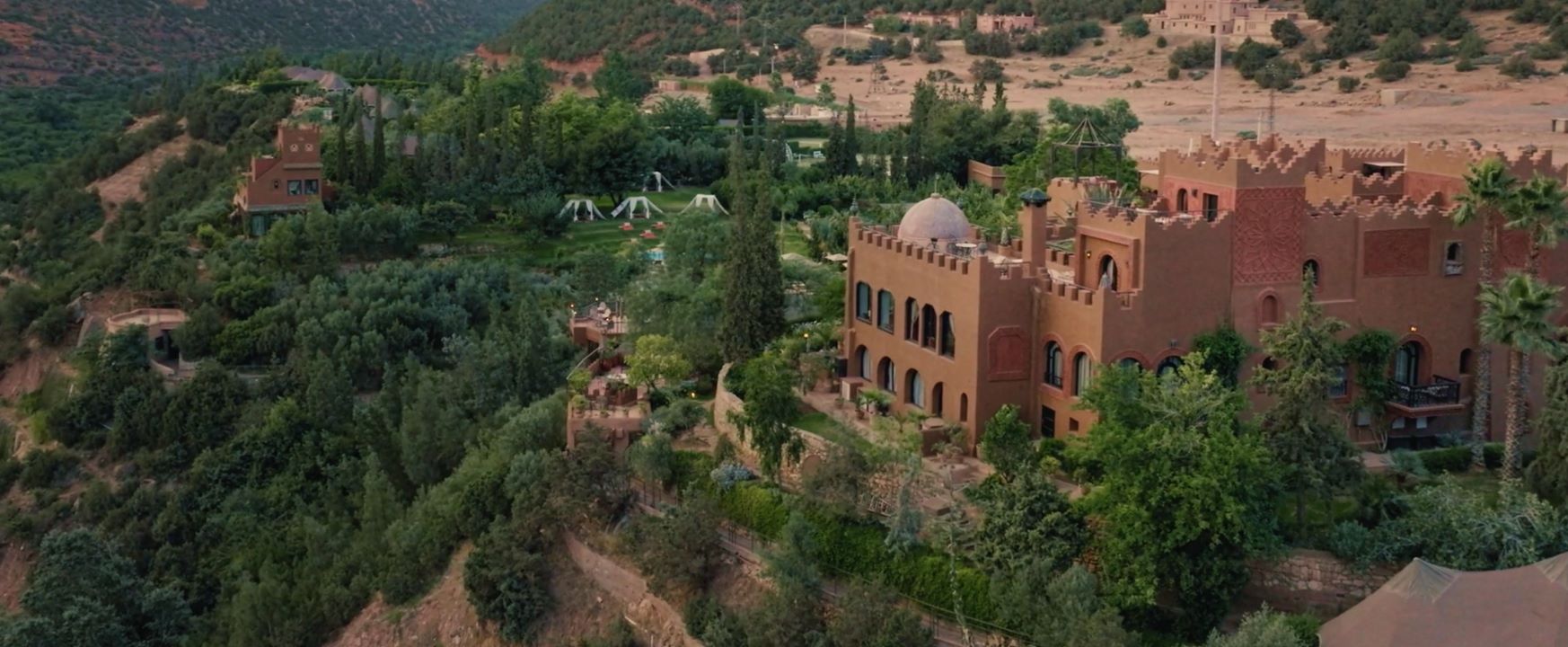 Virgin Limited Edition