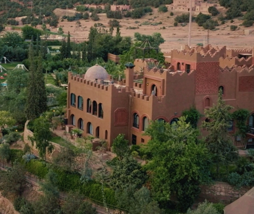 Virgin Limited Edition