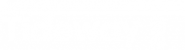 James Carew,<br />
Head of Communications