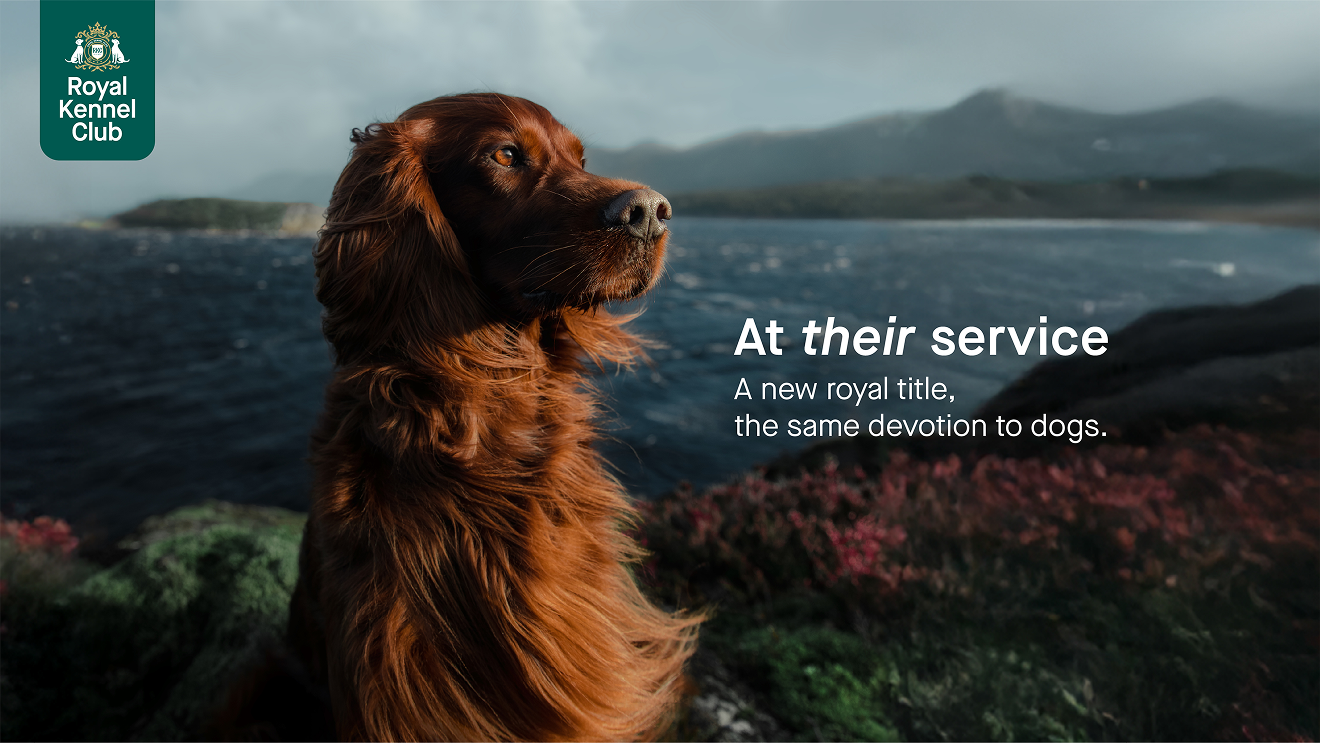 royal-kennel-club-at-their-service-brand-1
