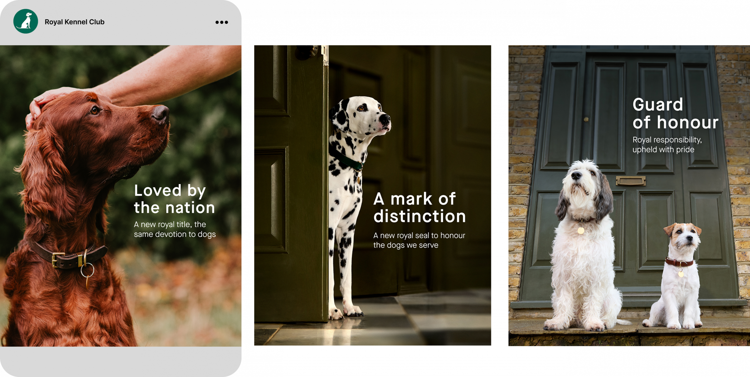 royal-kennel-club-at-their-service-brand-2