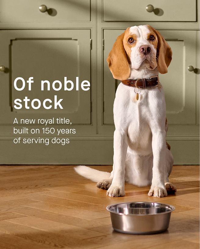 royal-kennel-club-at-their-service-brand-4