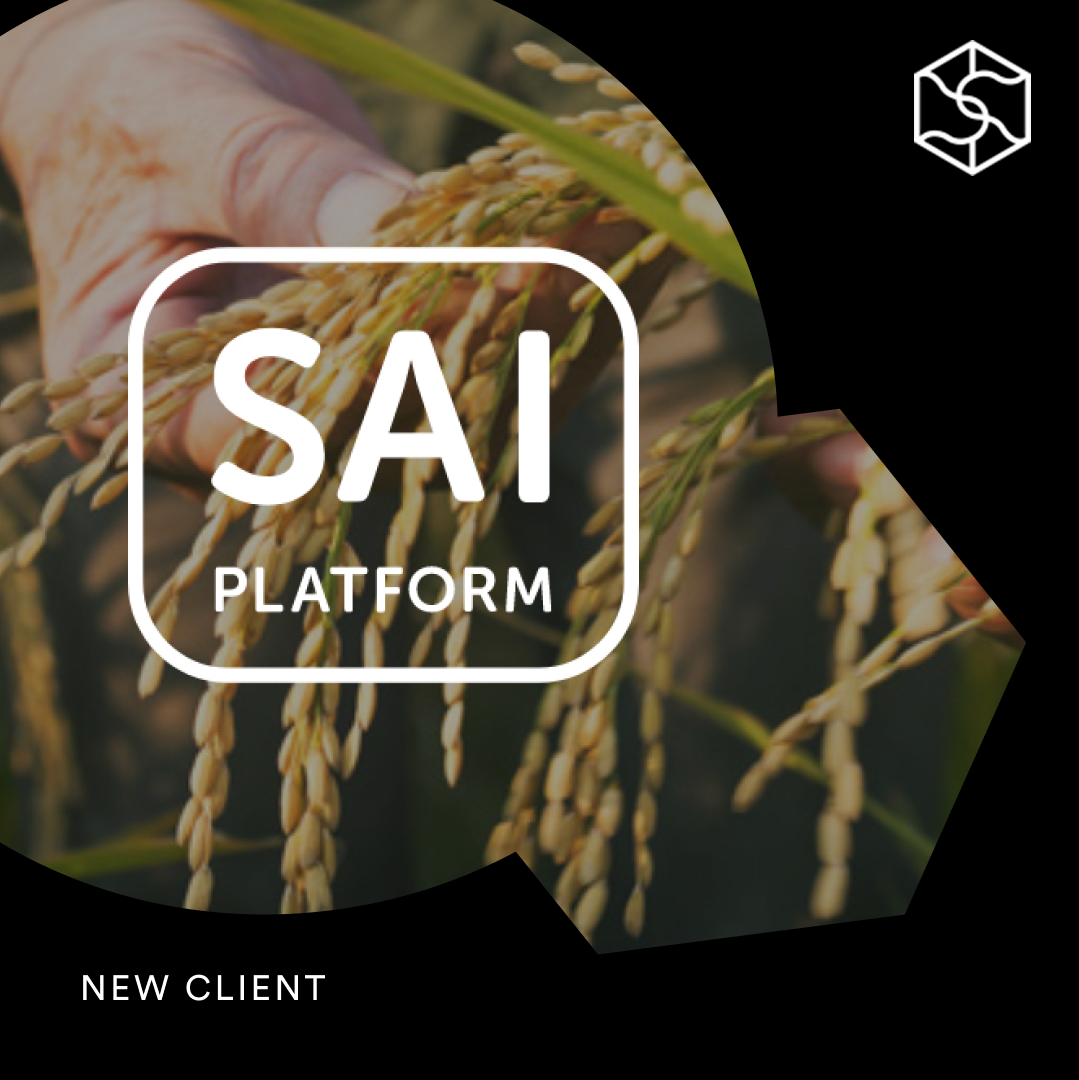 Boldspace appointed by SAI Platform to lead communications for Regenerating Together Programme