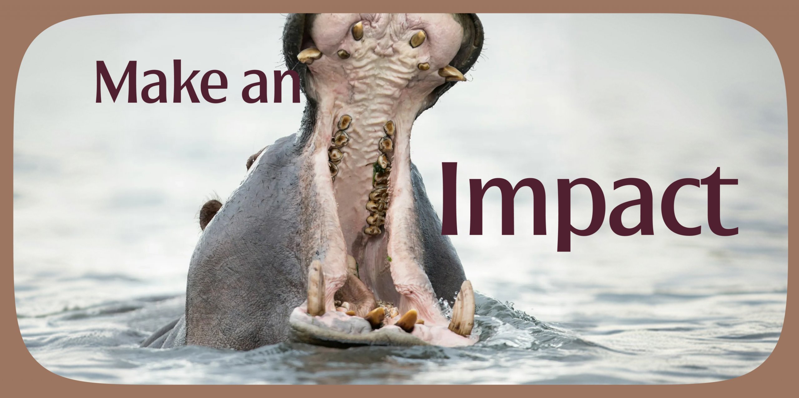 Impact Travel Group