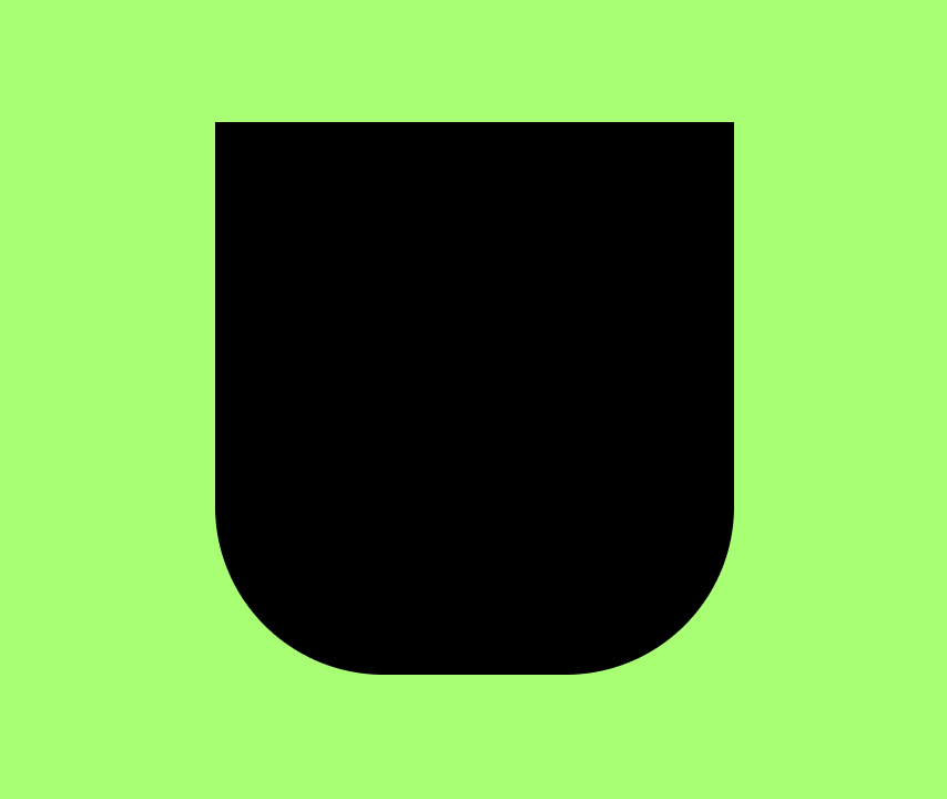 Bruumi